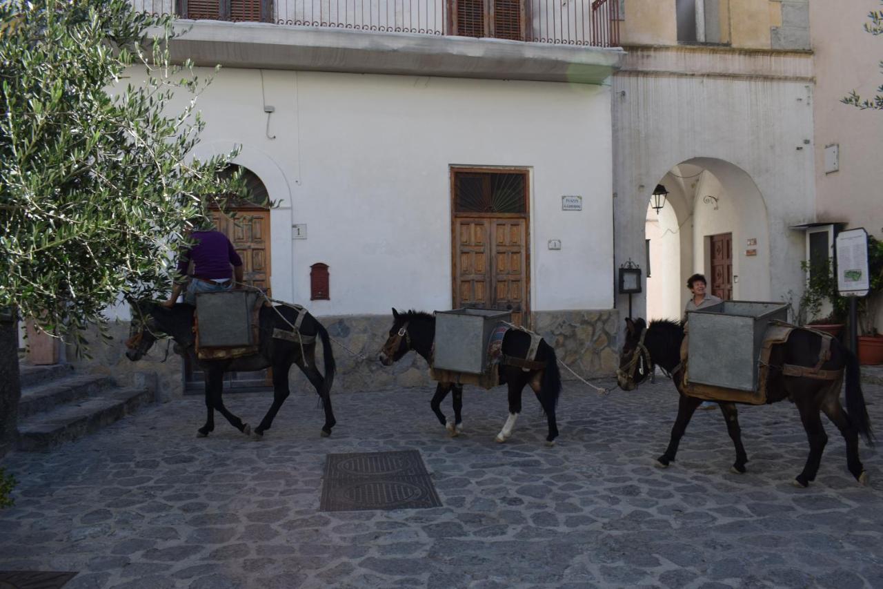 Palazzo San Giovanni Amalfi Coast Scala Zewnętrze zdjęcie